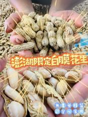 澎湖季節限定白膜花生500g