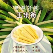 鮮凍玉米筍1000g