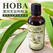 澳洲HOBA 100%尤加利精油50ml