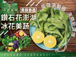 鑽石花～澎湖冰花美蔬(貴族食品)