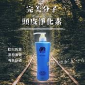 完美分子-頭皮淨化素750ml