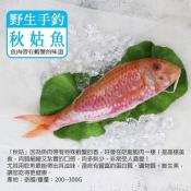 秋姑魚