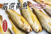 正港野生三去黃魚