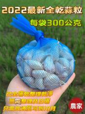 2022最新開爐台灣蒜粒300g