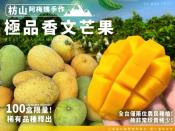 枋山阿梅姨-極品香文芒果5斤