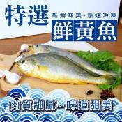 三去野生黃魚300g