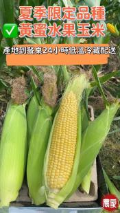 無毒夏季限定黃蜜水果玉米