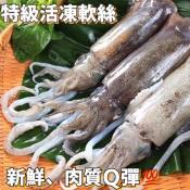 活凍特級軟絲3尾入