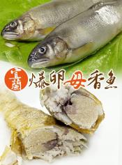 嚴選爆卵香魚1000g-母