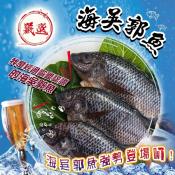 嚴選海吳郭魚500-600g