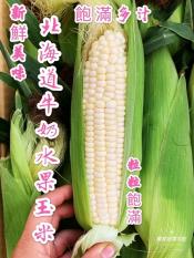 生食級北海道牛奶水果玉米2斤