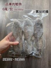 活凍新鮮肉魚/肉鯽魚-6隻入