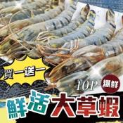 鮮活10p大草蝦2盒組