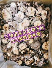 限量NG埔里黑早冬菇-70G