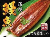 居酒屋人氣商品-蒲燒鰻魚500g