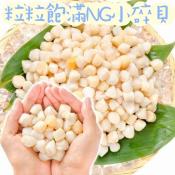 真正的NG小碎貝柱500g