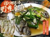 澎湖鎖港野生象魚500g