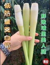 埔里新鮮茭白筍1斤裝