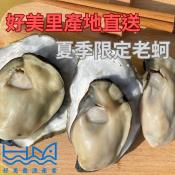 好美農漁產業 帶殼老蚵1.8kg