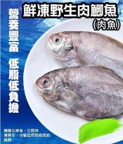 鮮凍野生肉鯽魚(肉魚)500g-4隻裝買一送一檔