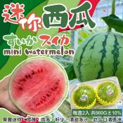 台南MINEBALL迷你粉嫩西瓜900g-2顆