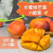 A級果水蜜桃芒果5台斤禮盒裝