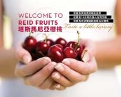 REID FRUITS 澳洲塔斯馬尼亞櫻桃2kg