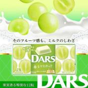 森永製菓30週年限定DARS夾心白巧克力12粒