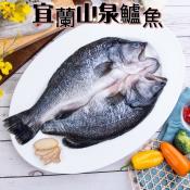 宜蘭山泉鱸魚300g-400g x2條組