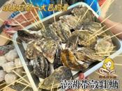 澎湖帶殼牡蠣600g