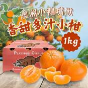 澳洲小鴨嘴獸香甜多汁小柑橘1kg