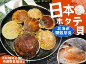 日本北海道帶殼扇貝500g