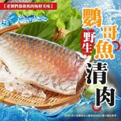 野生鸚哥魚清肉350-450g