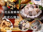 魚社長養殖專家龍虎石斑魚系列