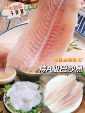 特A級巴沙魚鯰魚排 超大規格1000g